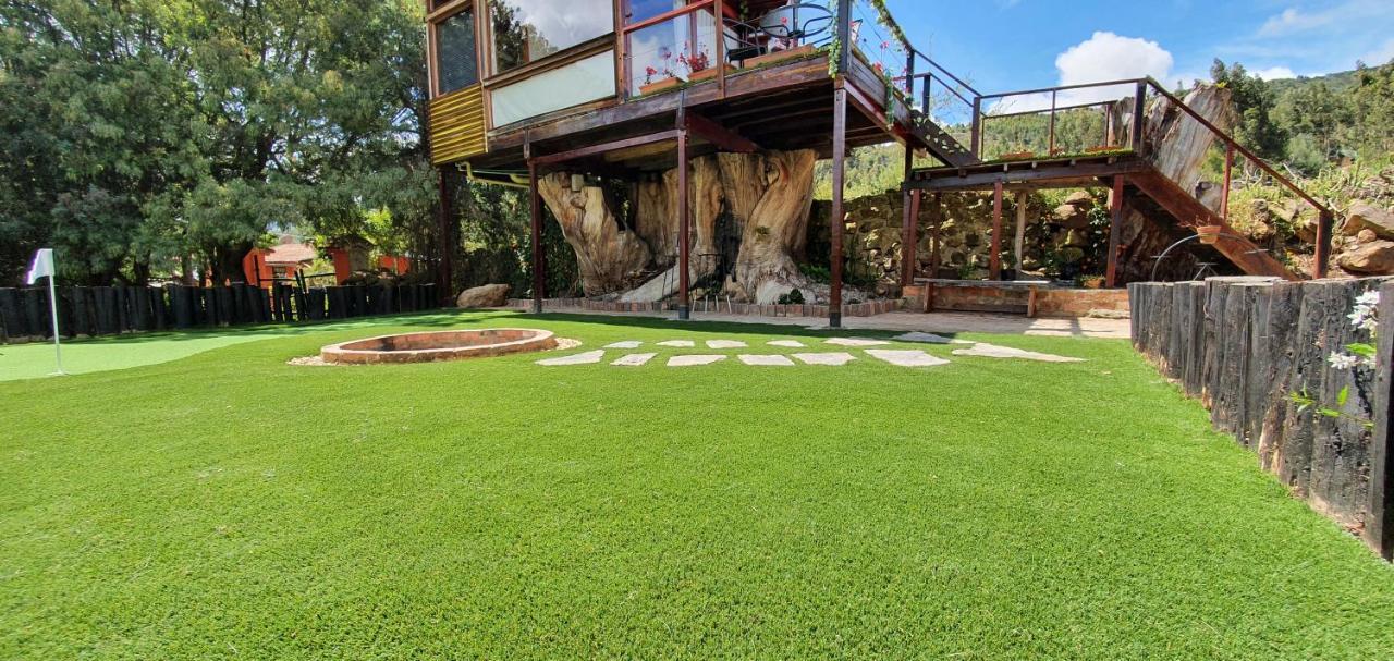 הוילה סוסקה Casa En El Arbol מראה חיצוני תמונה