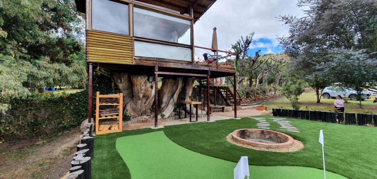 הוילה סוסקה Casa En El Arbol מראה חיצוני תמונה