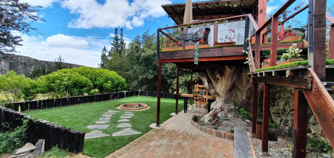 הוילה סוסקה Casa En El Arbol מראה חיצוני תמונה