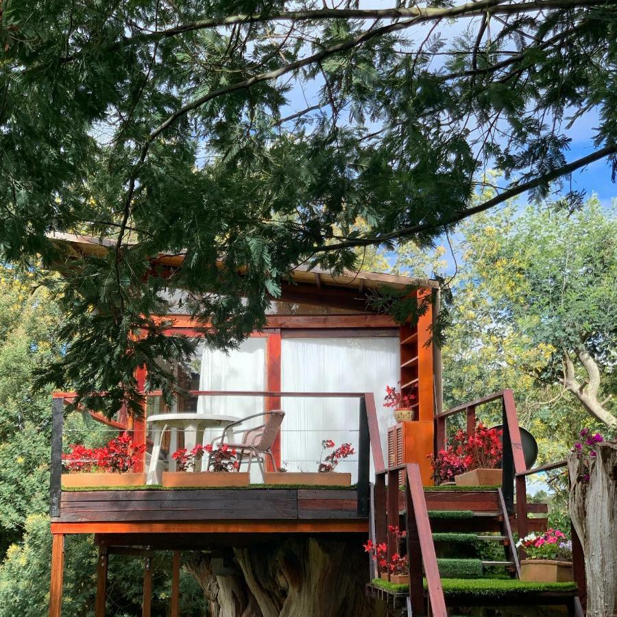 הוילה סוסקה Casa En El Arbol מראה חיצוני תמונה