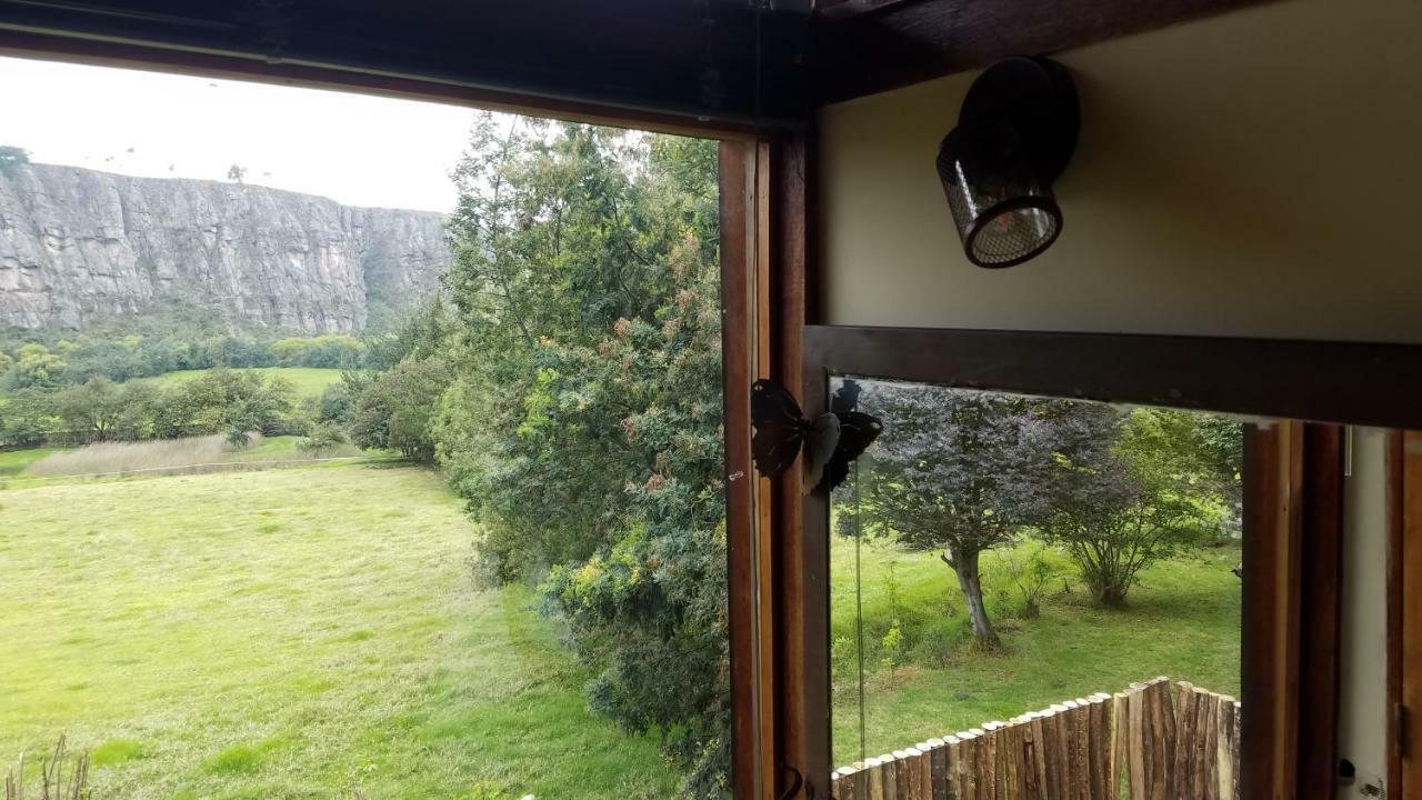 הוילה סוסקה Casa En El Arbol מראה חיצוני תמונה
