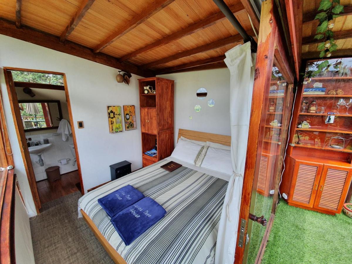 הוילה סוסקה Casa En El Arbol מראה חיצוני תמונה